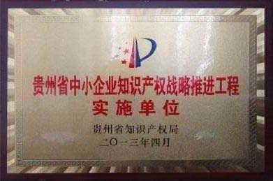 省知識產權戰略推進工程實施單位